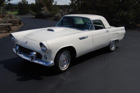 1955 Ford Thunderbird na prodej