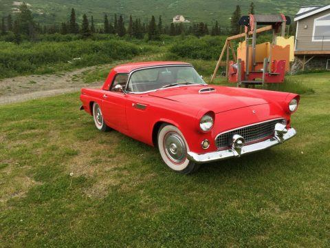 1955 Ford Thunderbird na prodej
