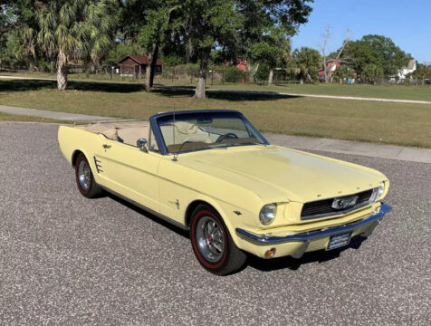 1966 Ford Mustang na prodej